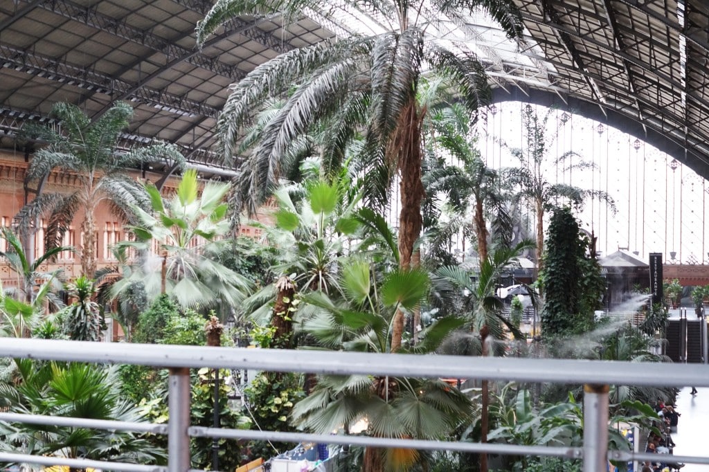DSC05001