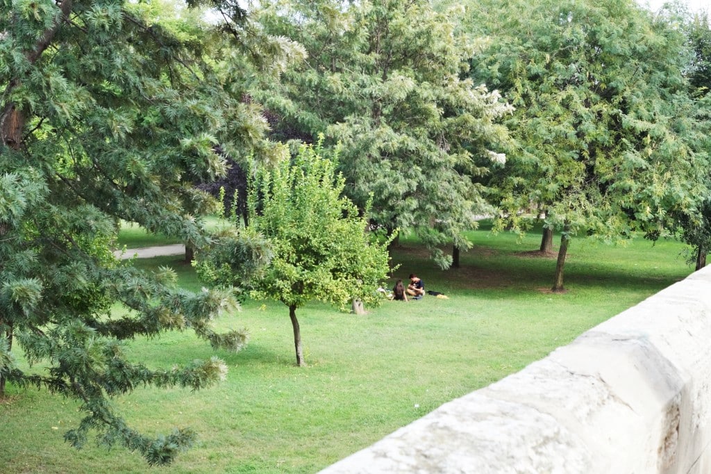 DSC05082